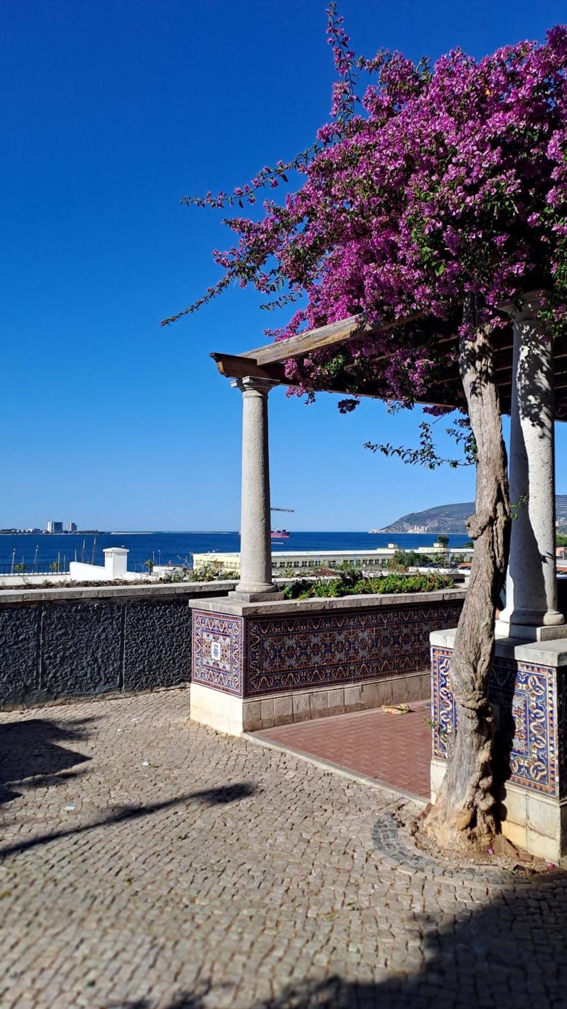 Jangada Apartamento Setubal Appartement Buitenkant foto